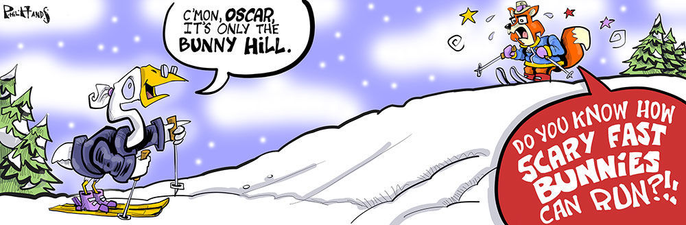The bunny hill